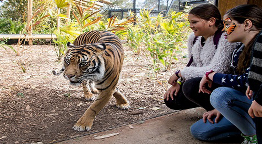 Taronga